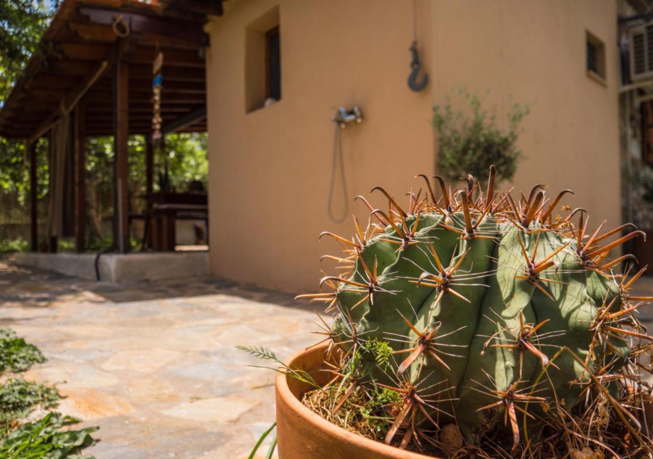 Santa Cruz Country Cottage Kallithea  Экстерьер фото