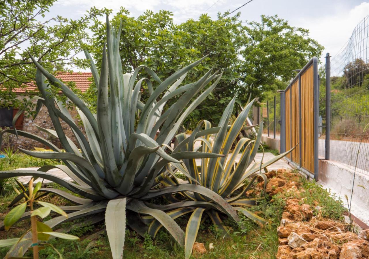 Santa Cruz Country Cottage Kallithea  Экстерьер фото
