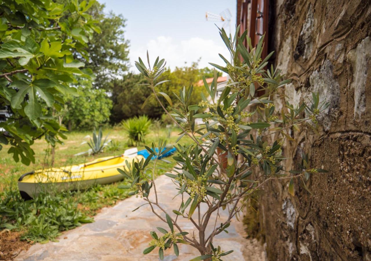 Santa Cruz Country Cottage Kallithea  Экстерьер фото
